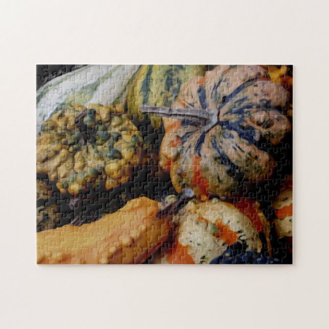 Puzzle Coloridos Gourds Fancy Photo Oil Pinting (Horizontal)