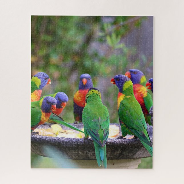 Puzzle Coloridos loros arcoiris comiendo (Vertical)