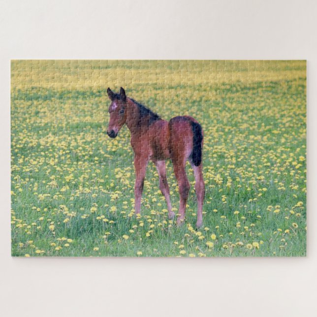 Puzzle Colt en el campo de Dandelion (Horizontal)