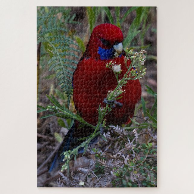Puzzle Comida de aves Rosella, Crimson Rojas, 1014 piezas (Vertical)