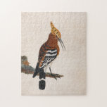 Puzzle Common Hoopoe | William Lewin<br><div class="desc">Common Hoopoe (before 1790) | William Lewin’s Common Hoopoe is an elegant and detailed depiction of a hoopoe bird perched on a branch against a minimalist neutral background. The painting highlights the bird’s distinctive crest and striking plumage with remarkable precision, emphasizing its unique beauty. The simplicity of the background draws...</div>