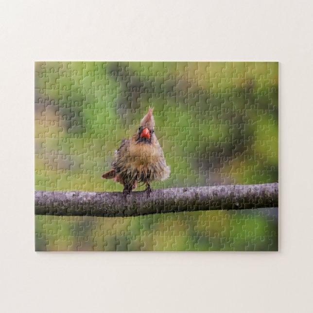 Puzzle ¿Cómo te va el día? (Horizontal)