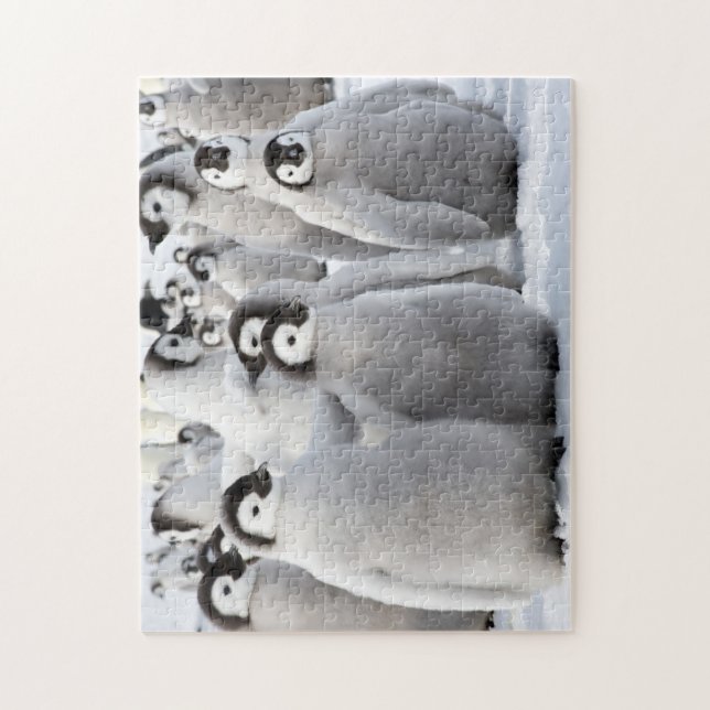 Puzzle Compinches del pingüino (Vertical)