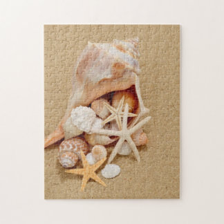 Puzzle Concha Shell con las cáscaras y las estrellas de