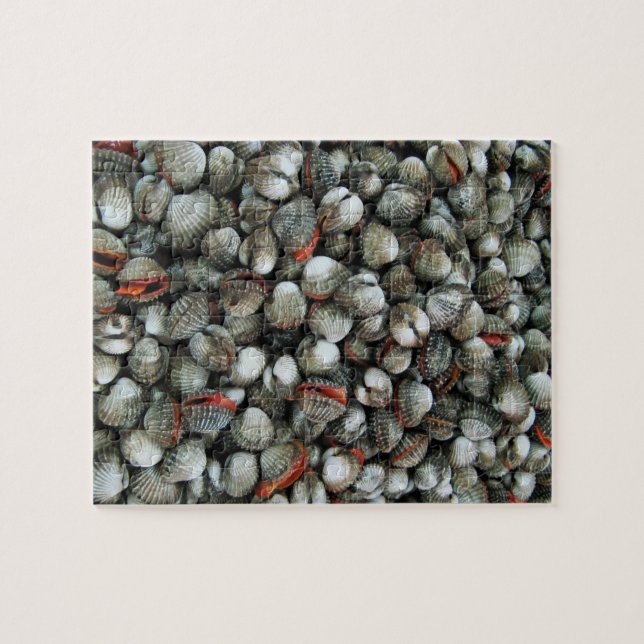 Puzzle Conchas de berberecho de sangre (Horizontal)