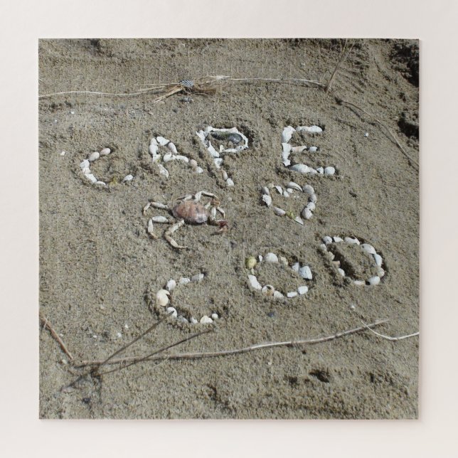Puzzle conchas de Cape Cod Beach (Vertical)