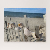 conchas de playa en una cerca cerca del rompecabez