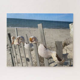 Puzzle conchas de playa en una cerca cerca del rompecabez