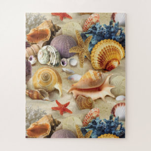 Puzzle conchas marinas en la playa