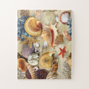Puzzle conchas marinas en la playa