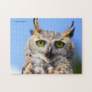 Puzzle Concurso de Miradas Fijas con un Bello Búho Real
