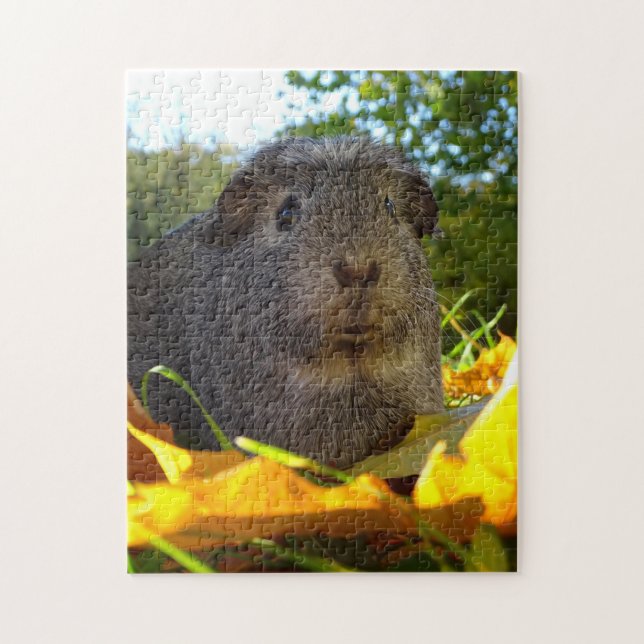 Puzzle Conejillo de Indias lindo en naturaleza (Vertical)