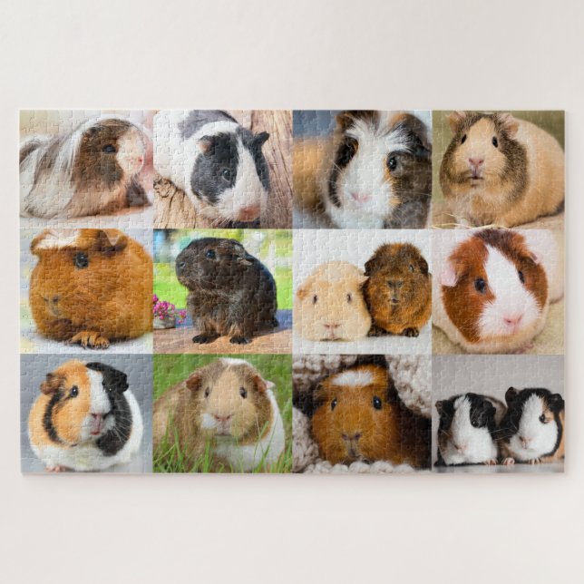 Puzzle Conejillos de Indias (Horizontal)