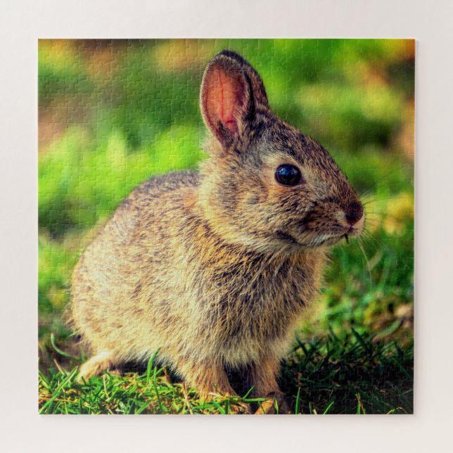 Puzzle Conejito Adorable - Dulce (Horizontal)
