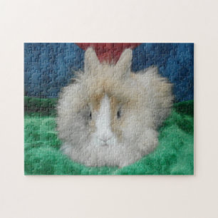 Puzzle Conejo conejo conejito fluffy Lionhead