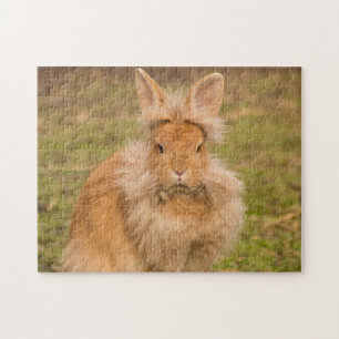 Puzzle Conejo conejo conejo conejito fluffy rojo