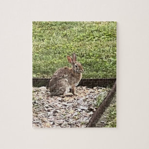 Puzzle Conejo de conejo salvaje sentado en los rompecabez