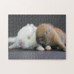 Puzzle Conejos enanos de Netherland