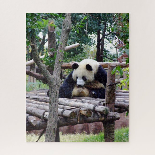 Puzzle Consejo Panda - No hay depresión, si tienes "oso"  (Vertical)