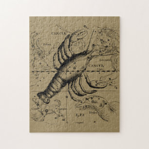 Puzzle Constelación de Cáncer Hevelio 1690 Junio 21-Jul