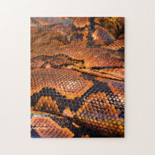 Puzzle Constrictor de boa