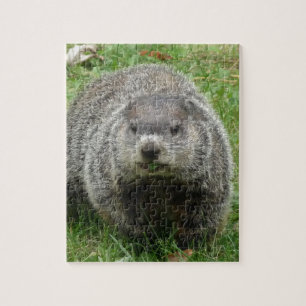 Puzzle Consumición de Groundhog