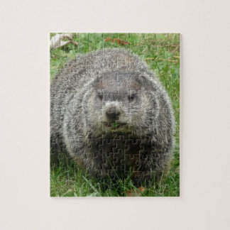 Puzzle Consumición de Groundhog
