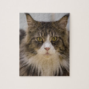 Puzzle Coon hermoso de Maine