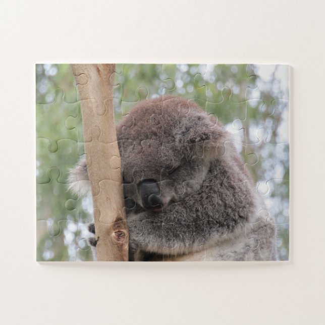 Puzzle coqueto koala (Horizontal)