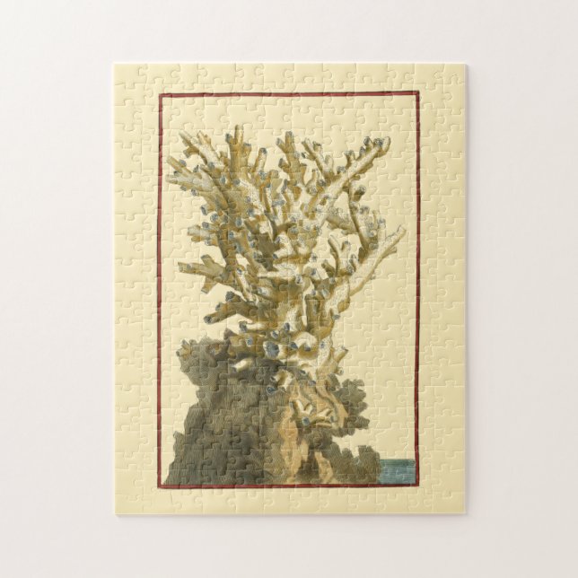 Puzzle Coral junto al mar (Vertical)