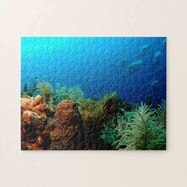 Puzzle Coral Reef, Parque Nacional de Tortugas Secas, Flo (Horizontal)