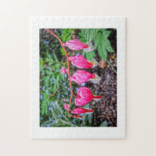 Puzzle Corazones sangrantes