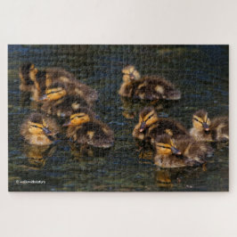 Puzzle Corchos vivientes flotantes: 9 Ducklings cúrcute j