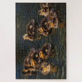 Puzzle Corchos vivientes flotantes: 9 Ducklings cúrcute j