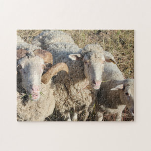 Puzzle Cordero de la familia de las ovejas