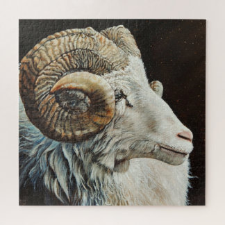 Puzzle Corderos blancos islandeses Ram con cuernos