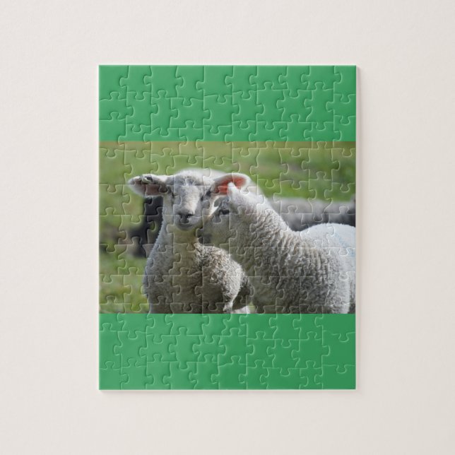Puzzle Corderos juntos (Vertical)