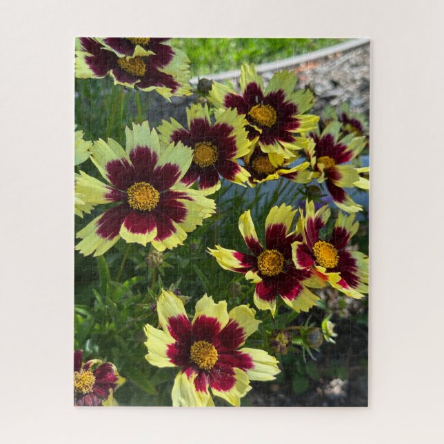 Puzzle Coreopsis de Borgona y Amarillo, San Mateo (Vertical)