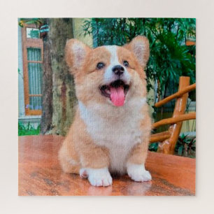 Puzzle Corgi galés cachorro