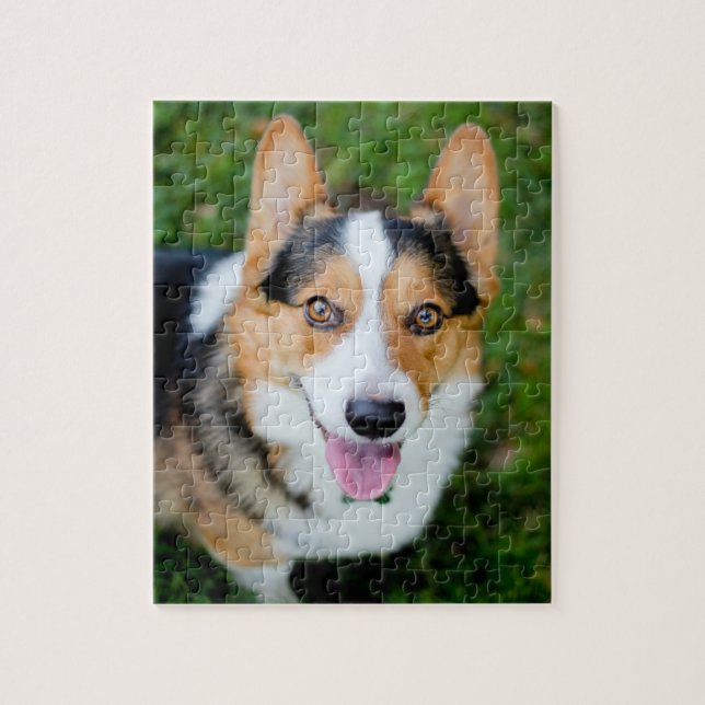 Puzzle Corgi Galés del Pembroke (Vertical)