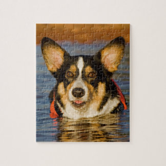Puzzle Corgi lindo