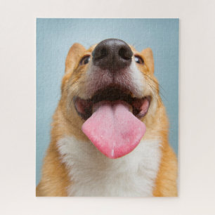 Puzzle Corgi muy feliz de las imágenes el   de Getty