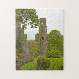 Puzzle Cork, Irlanda. El infame Castillo Blarney 2