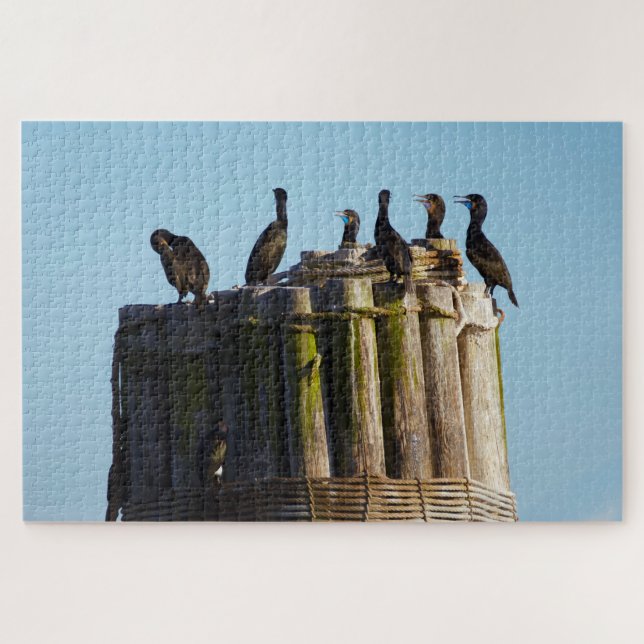 Puzzle Cormorant de Brandt (Horizontal)