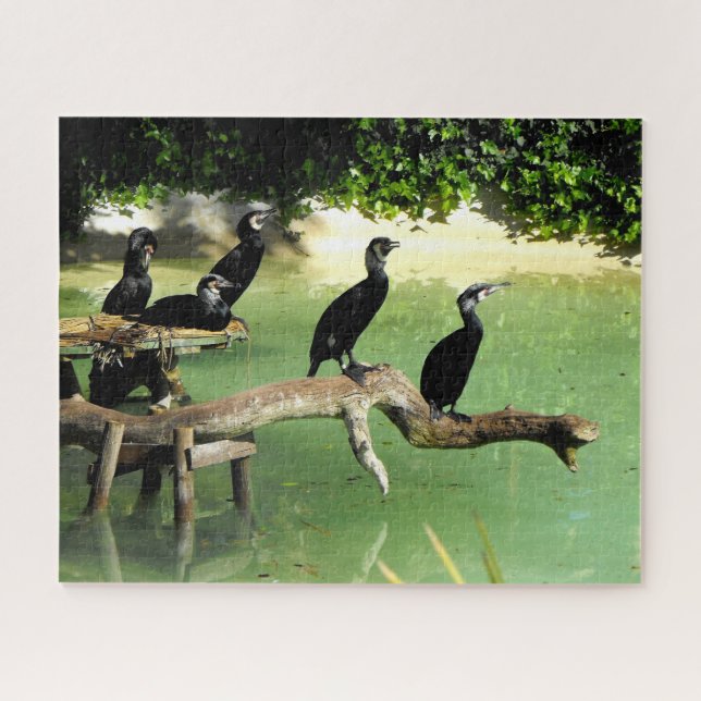 Puzzle Cormorantes (Horizontal)