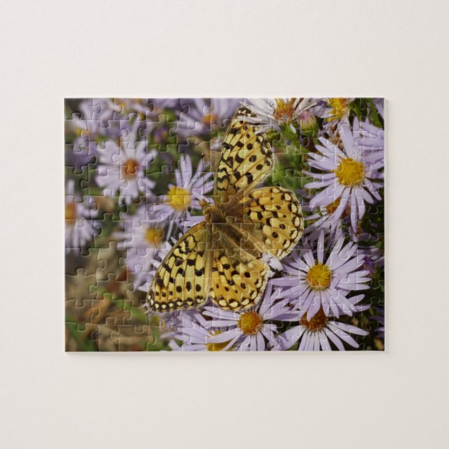 Puzzle Coronis Fritillary sobre flores de aster en Grand  (Horizontal)