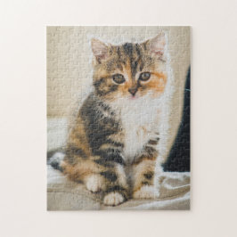 Puzzle Corta y difusa Calico Tabby Gato Foto