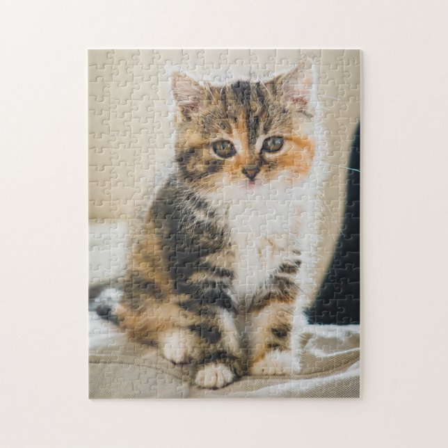Puzzle Corta y difusa Calico Tabby Gato Foto (Vertical)