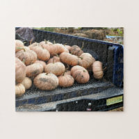 Cosecha De Calabaza En El Autum Del Camión