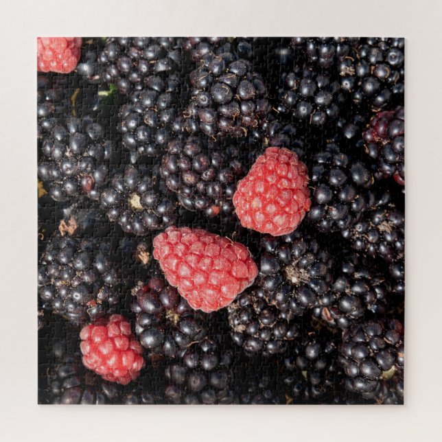 Puzzle Cosecha de moras y frambuesas (Vertical)